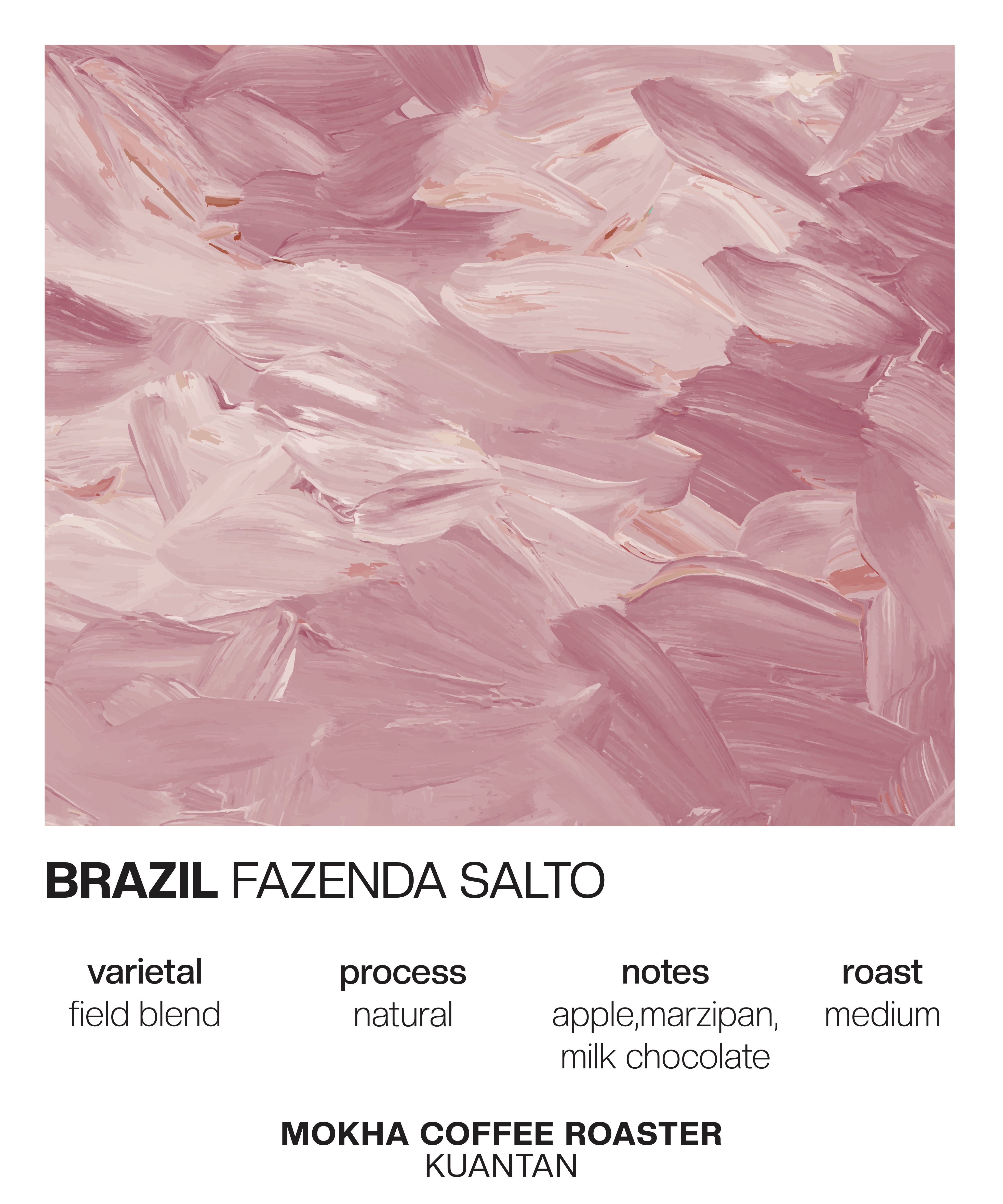 BRAZIL FAZENDA SALTO